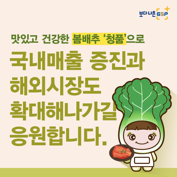 GSP 품종뉴스 - 청품배추 10월_06.jpg
