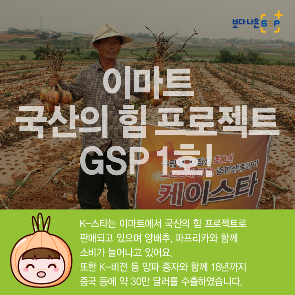 GSP 품종뉴스 - 양파 편 8월_양파_05.jpg
