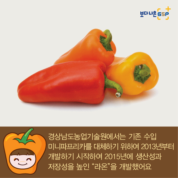 친절한 종자씨와 함께하는 GSP 품종뉴스 - 파프리카편 12월_파프리카-04.jpg