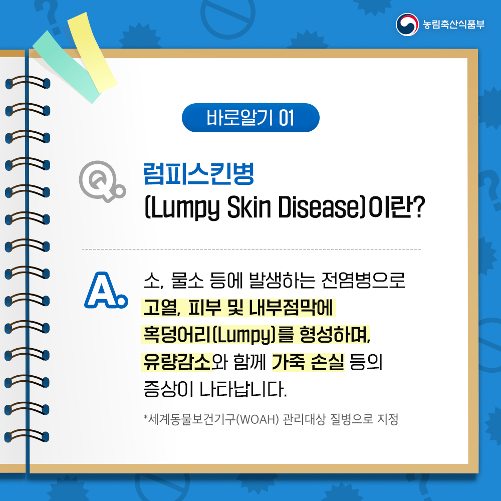 농림축산식품부 바로알기 01 럼피스킨병 [Lumpy Skin Disease)이란? A. 소, 물소 등에 발생하는 전염병으로 고열, 피부 및 내부점막에 혹덩어리(Lumpy)를 형성하며, 유량감소와 함께 가죽 손실 등의 증상이 나타납니다. 세계동물보건기구(WOAH) 관리대상 질병으로 지정