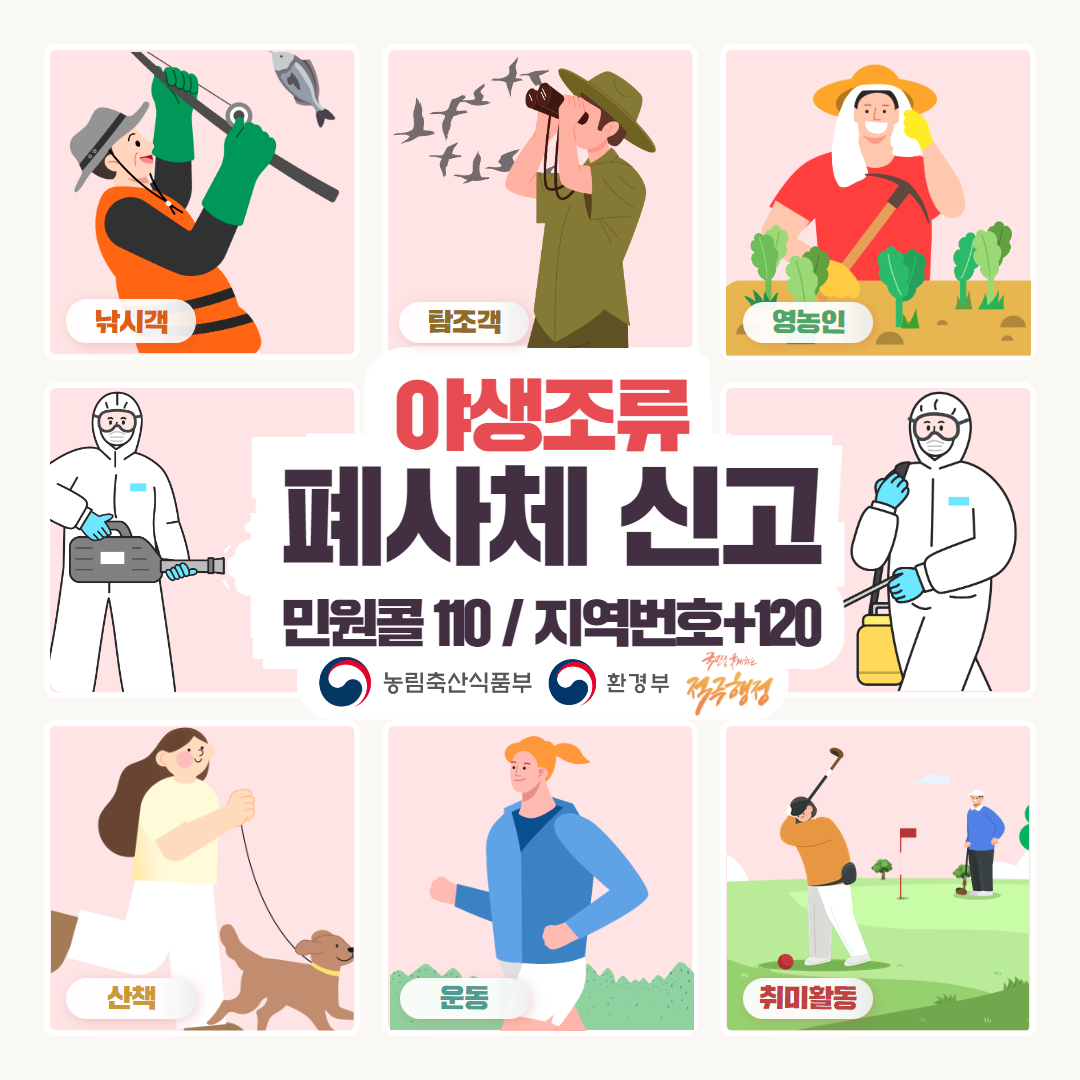야생조류 폐사체 신고 및 행동요령 안내 카드뉴스) 야생조류 폐사체 신고1.jpg
