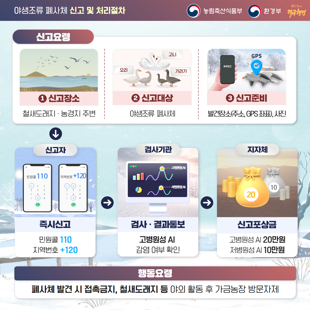 야생조류 폐사체 신고 및 행동요령 안내 카드뉴스) 야생조류 폐사체 신고3.jpg
