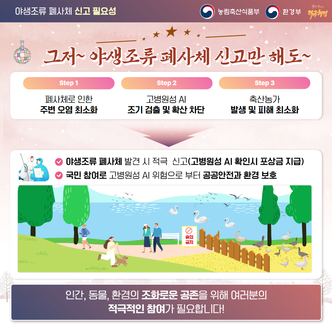 야생조류 폐사체 신고 및 행동요령 안내 카드뉴스) 야생조류 폐사체 신고4.jpg