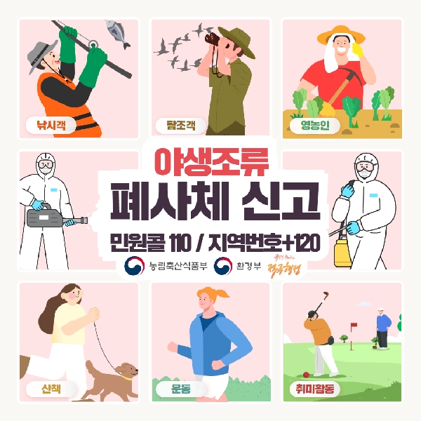 야생조류 폐사체 신고 및 행동요령 안내 대표이미지