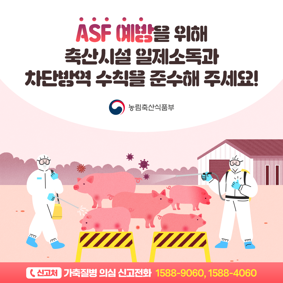 설연휴 ASF 예방은 행동과 실천이 중요합니다 설연휴 ASF예방_4.png