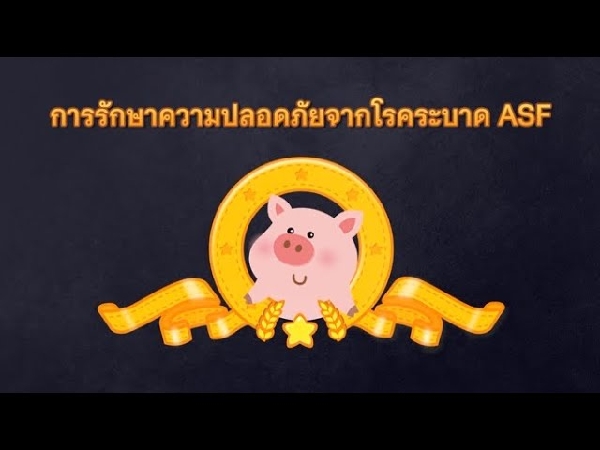아프리카돼지열병 근로자 방역수칙(태국어버전) 대표이미지