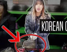 KOREAN FOOD | COOKING IN SOUTH KOREA 대표이미지