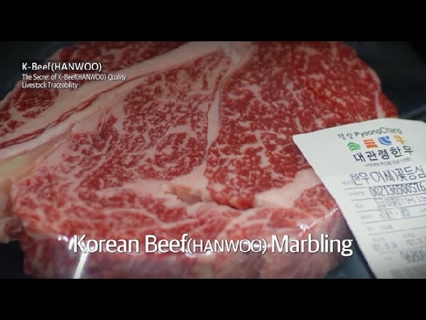 The Secret of K-Beef(HANWOO) Quality Livestock Traceability (with Paik Jong-Won) 대표이미지