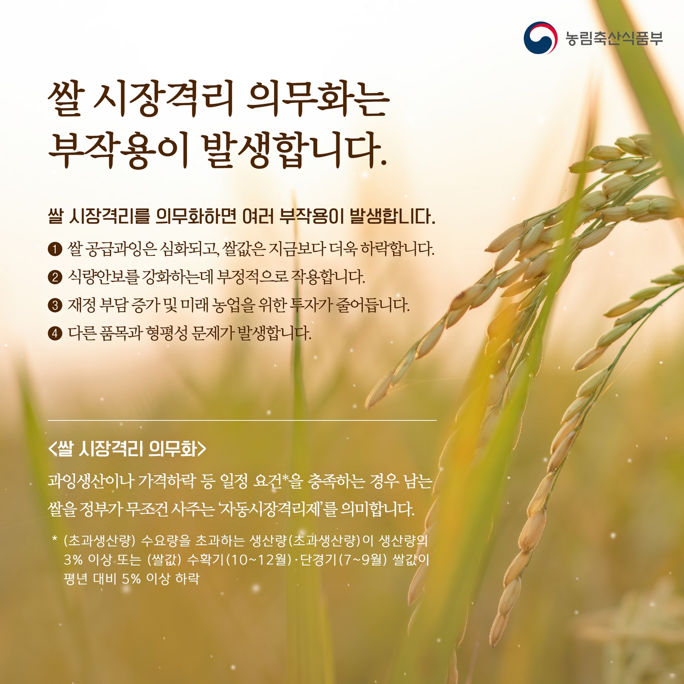 쌀 시장격리 의무화를 위한 양곡관리법 개정은 쌀값 안정의 근본적인 해결책이 아닙니다. 2.jpg