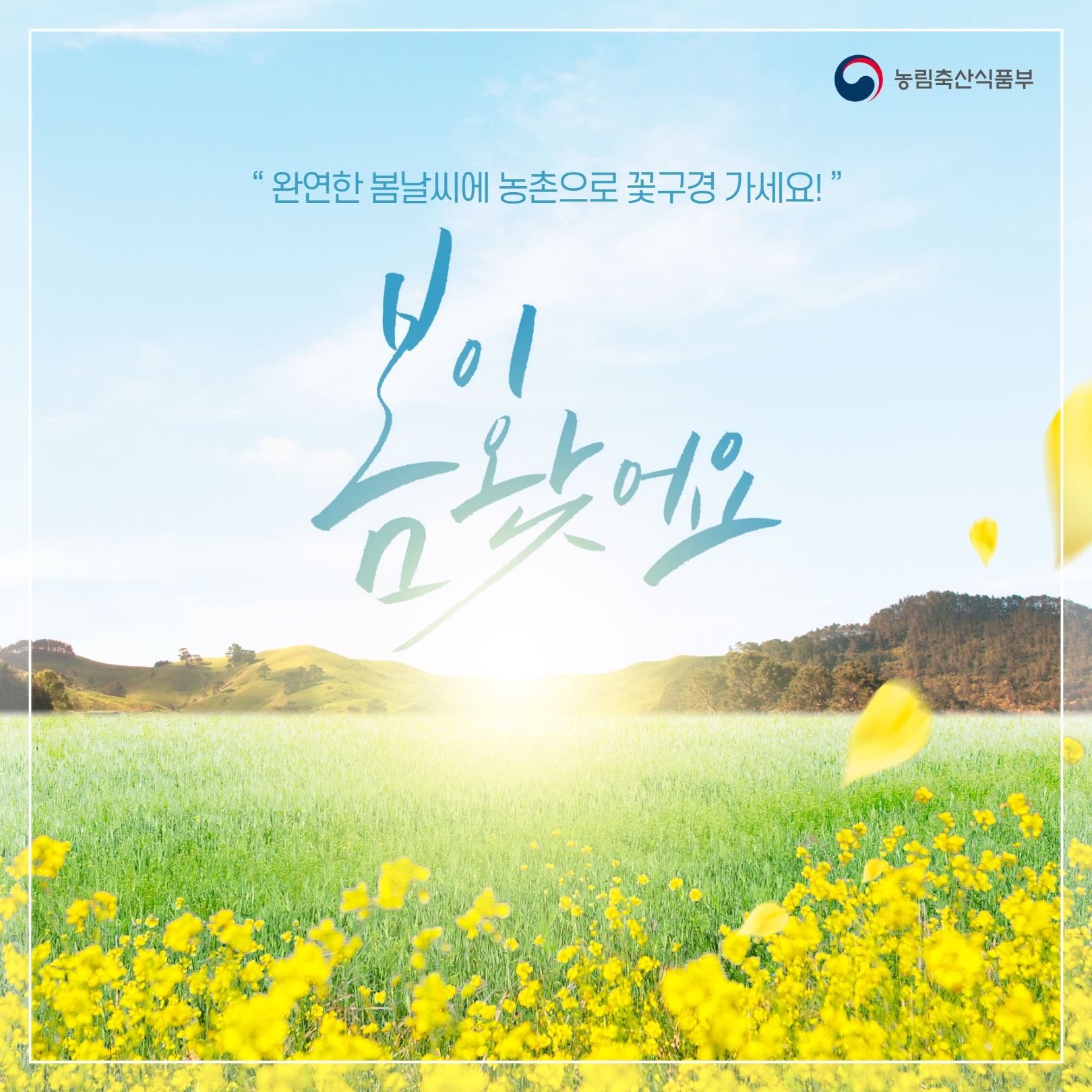완연한 봄날씨에 농촌으로 꽃구경 가세요! (봄꽃 농촌 여행지 소개)  꽃 개화시기 1.jpg