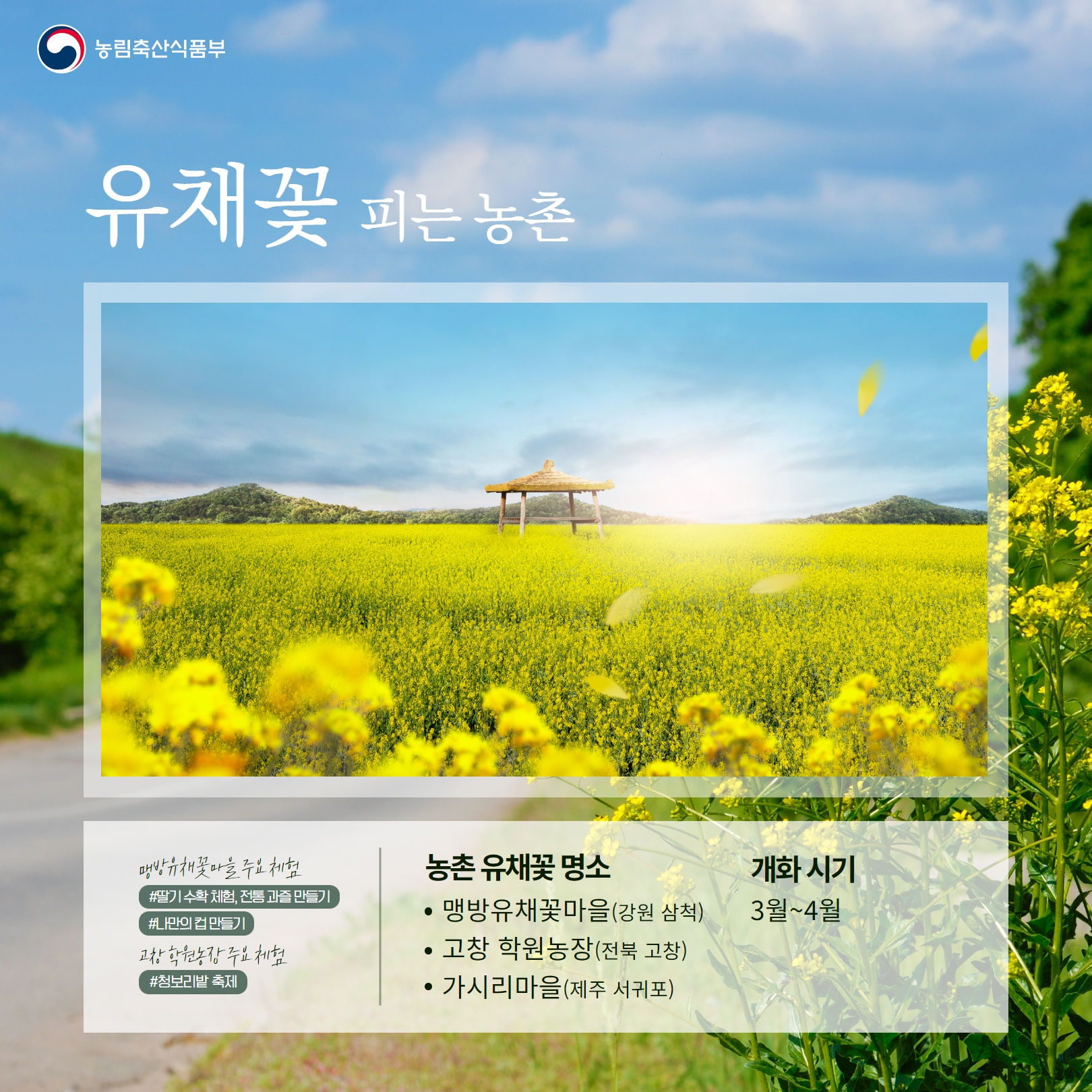 완연한 봄날씨에 농촌으로 꽃구경 가세요! (봄꽃 농촌 여행지 소개)  꽃 개화시기 7.jpg