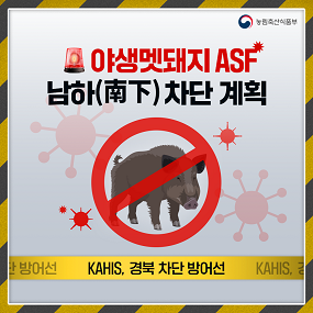 야생멧돼지 ASF 남하(南下)차단 계획 대표이미지
