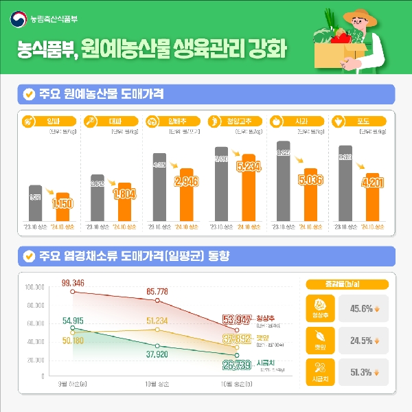 농림축산식품부 농식품부, 원예농산물생육관리 강화 v 주요 원예농산물 도매가격  (양파)[단위:원/kg] '23.10.상순: 1,371 →'24.10.상순 1,150 (대파)[단위:원/kg] '23.10.상순: 2,642 →'24.10.상순 1,804 (양배추)[단위:원/포기] '23.10.상순: 4,015 →'24.10.상순 2,946 (청양고추)[단위: 원/kg] '23.10.상순: 5,690 →'24.10.상순 5,234 (사과)[단위:원/kg] '23.10.상순: 8,225 →'24.10.상순 5,036 (포도)[단위: 원/kg] '23.10.상순: 7,289 →'24.10.상순 4,201  v 주요 엽경채소류 도매가격(일평균) 동향 청상추[단위: 원/4kg] [9월하순(a)]99,346→[10월 상순]85,778→[10월 중순(b)]53,947 깻잎[단위: 원/100속] [9월하순(a)]50,180→[10월 상순]51,234→[10월 중순(b)]37,892 시금치[단위: 원/4kg] [9월하순(a)]54,915→[10월 상순]37,920→[10월 중순(b)]26,739  증감률(b/a) 청상추 45.6%↓ 꺳잎 24.5%↓ 시금치 51.3%↓