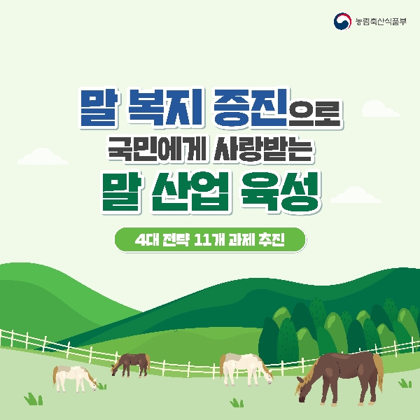 농림축산식품부 말 복지 증진으로 국민에게 사랑받는 말 산업 육성 4대 전략 11개 과제 추진