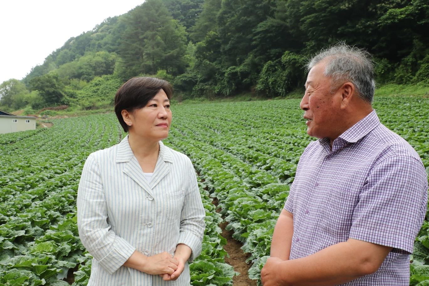 송미령 장관, 여름배추 재배현장 및 출하조절시설 방문