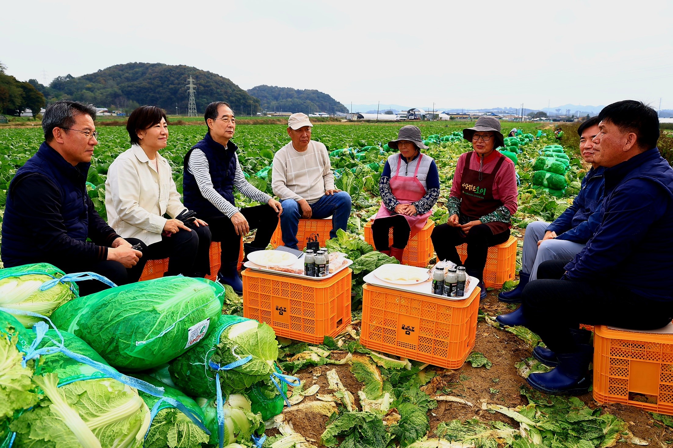 송미령 장관, 한덕수 국무총리와 함께 배추 수확현장 찾아 김장재료 수급상황 등 점검