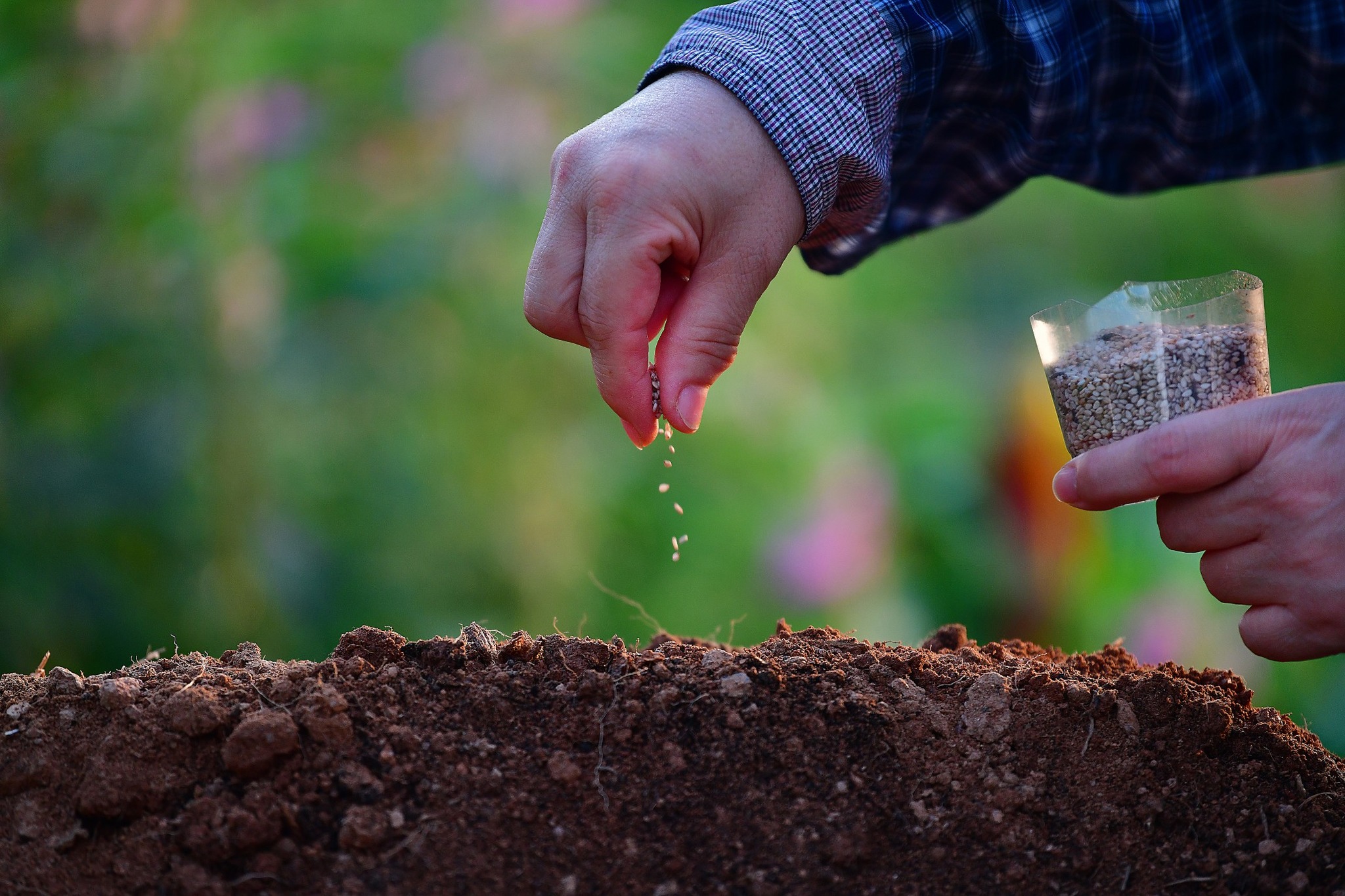 송미령 장관, '제21회 대한민국 우수 품종상' 시상식