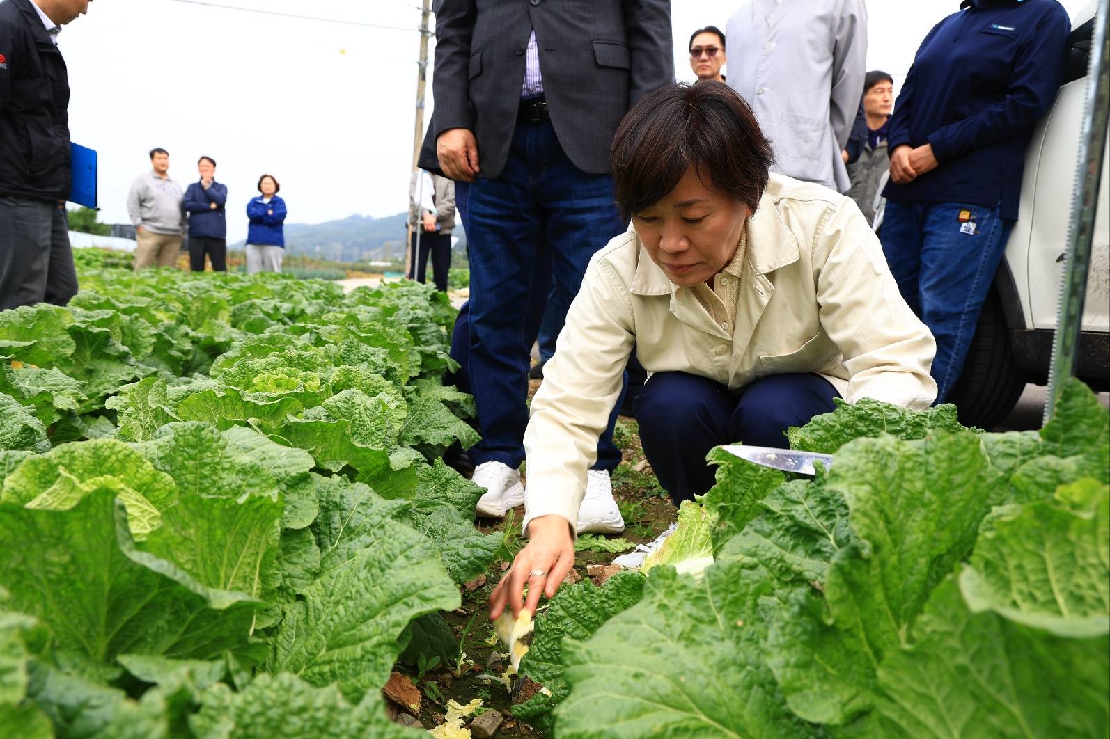 송미령 장관, 김장 배추 수급상황 점검