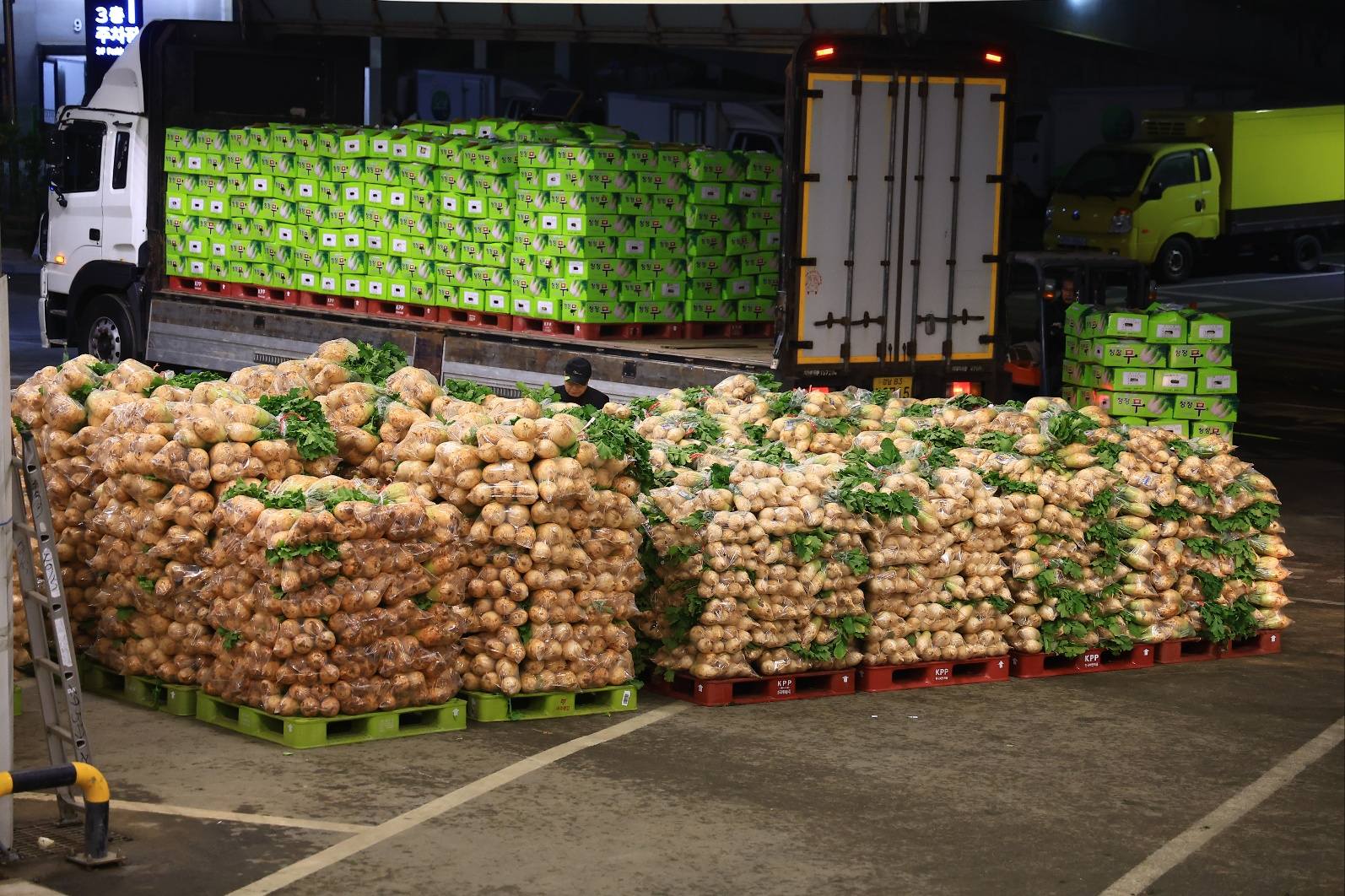 송미령 장관, 김장채소 수급상황 점검