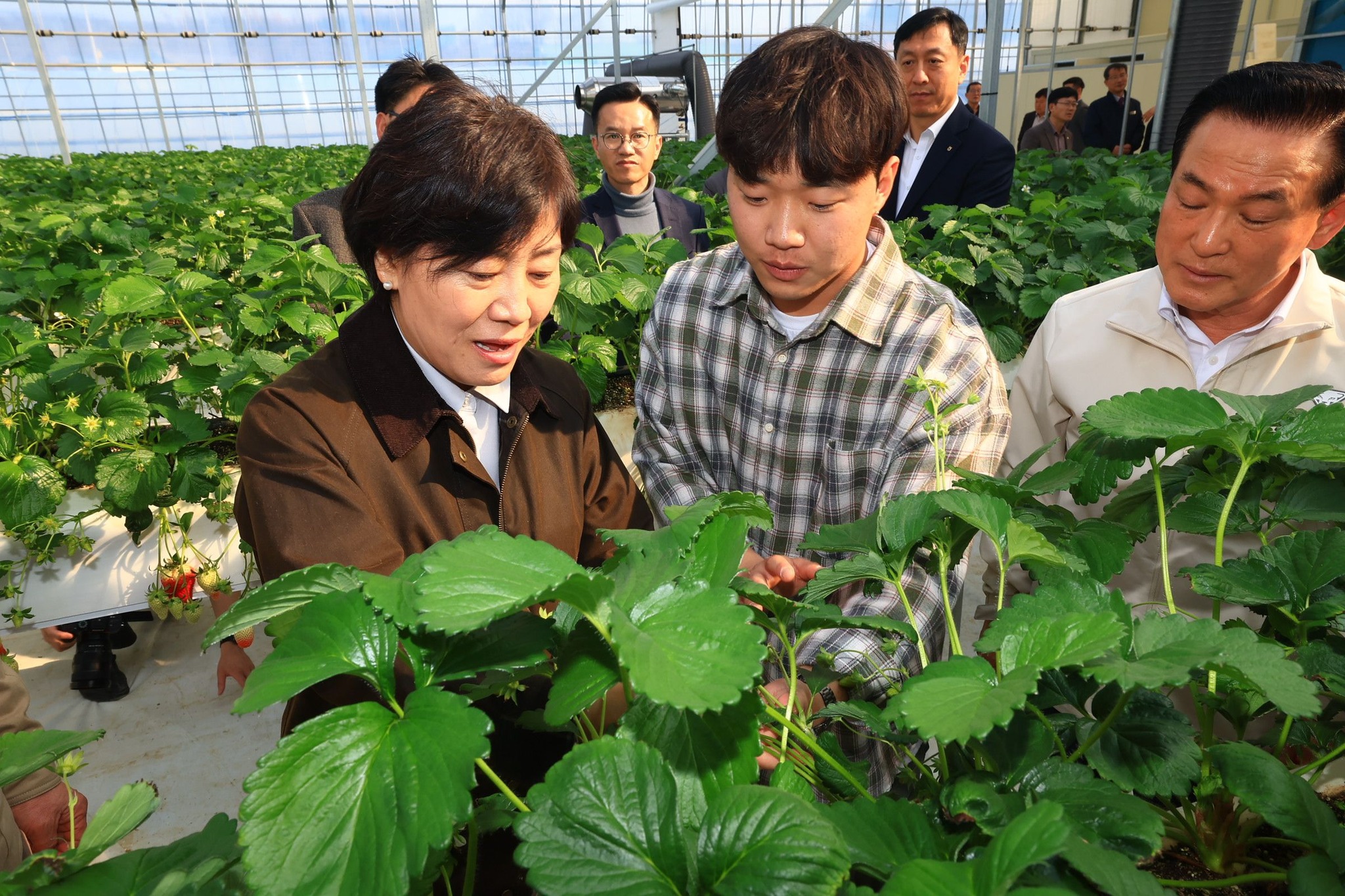 송미령 장관, 딸기 스마트팜 농가 방문
