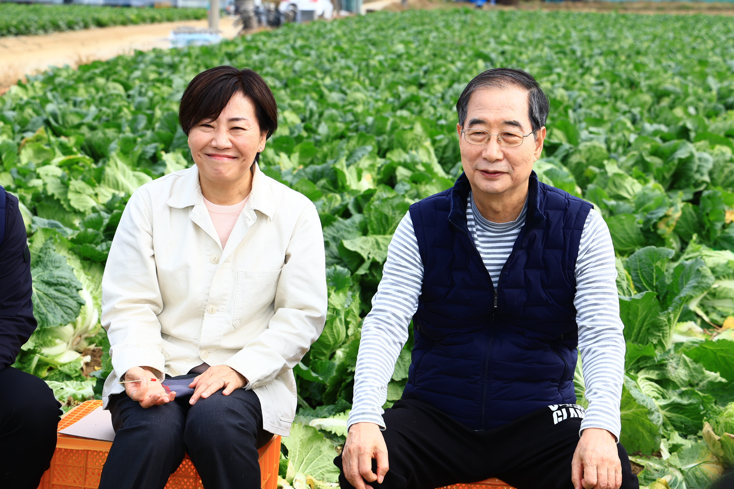 송미령 장관, 한덕수 국무총리와 함께 배추 수확현장 찾아 김장재료 수급상황 등 점검