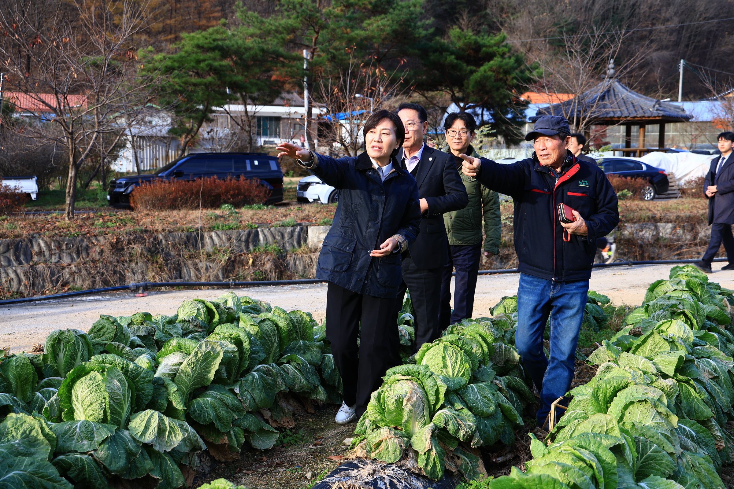 송미령 장관, 충북 괴산군 방문하여 김장배추 생육 및 절임배추 가공 상황 점검