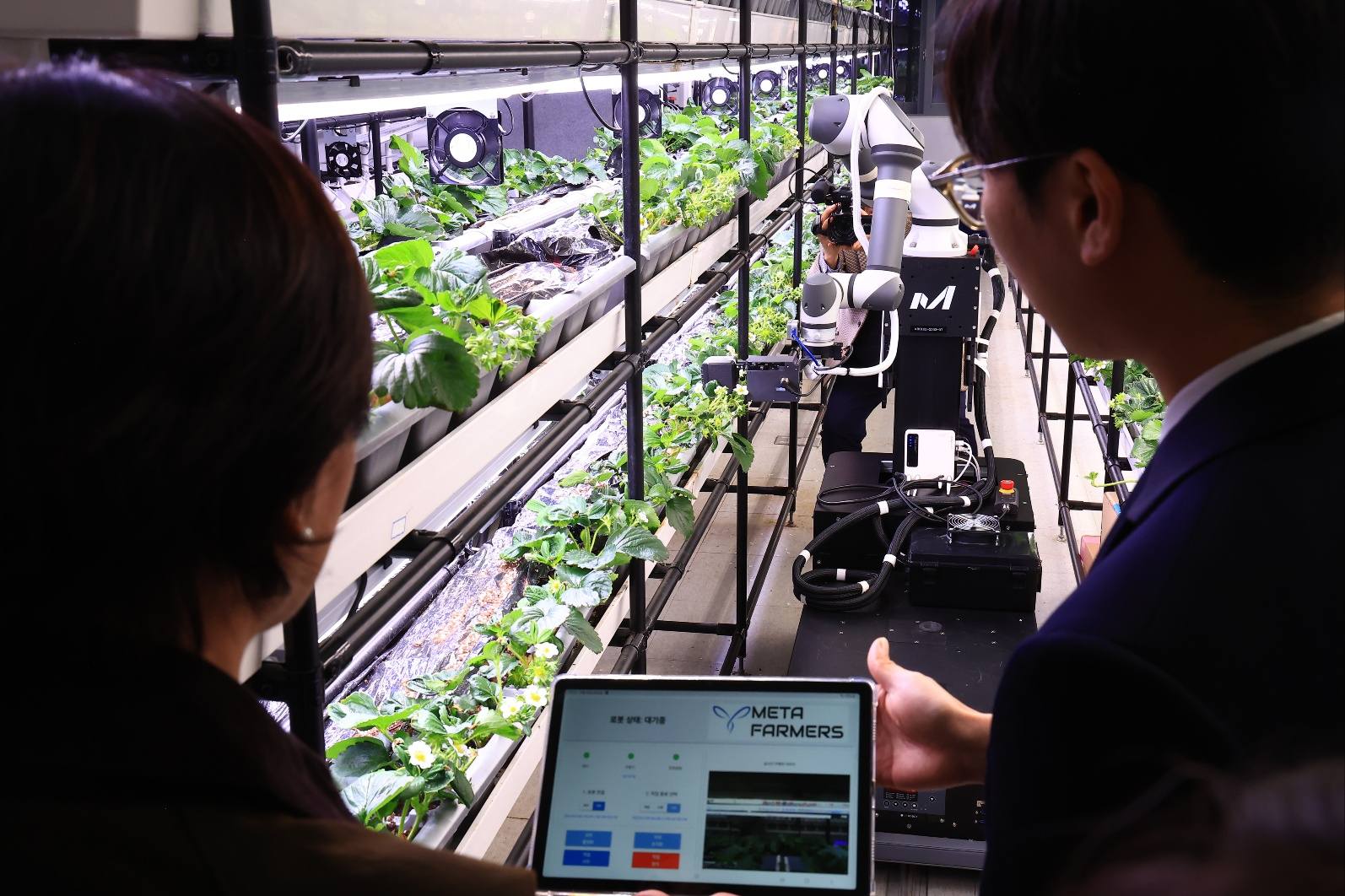송미령 장관, AI 스마트농업 현장방문