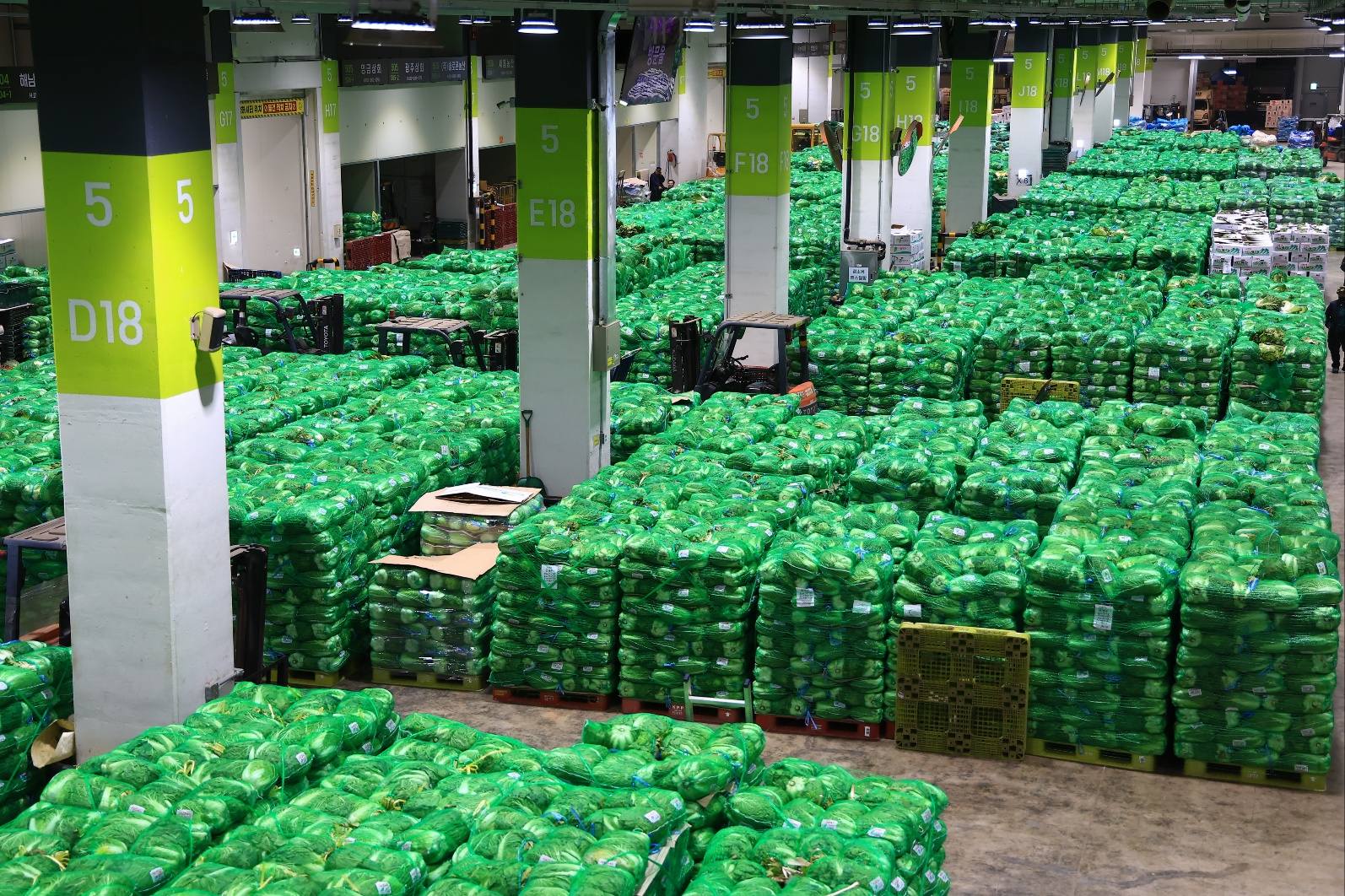 송미령 장관, 김장채소 수급상황 점검