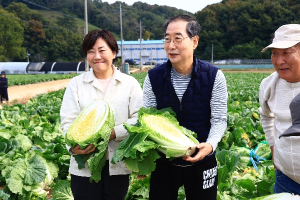 송미령 장관, 한덕수 국무총리와 함께 배추 수확현장 찾아 김장재료 수급상황 등 점검