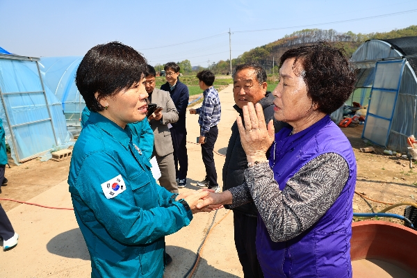 송미령 장관, 경북 산불 피해지역  영농 재개 지원 상황 점검 THUMBNAIL