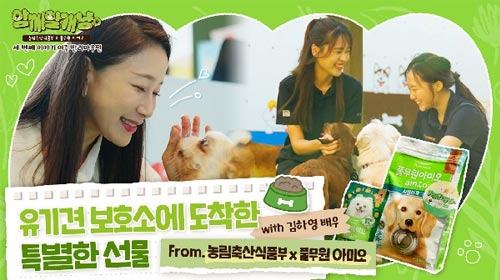 유기견 보호소에 도착한 특별한 선물 From. 농림축산식품부x풀무원 아미오 with 김하영