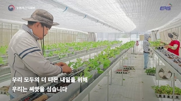 🌱우리 모두의 더 나은 내일을 위해 씨앗을 심습니다. | 필리핀 적정기술 기반 스마트농업 구축