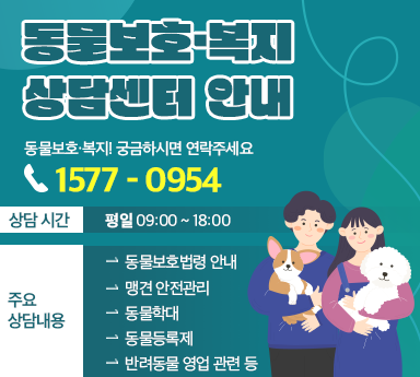 동물보호복지 상담센터 안내. 동물보호 복지 궁금하시면 연락주세요. 1577-0954, 평일 09:00 ~ 18:00, 주요 상담내용, 동물보호법령 안내, 맹견 안전관리, 동물학대, 동물등록제, 반려동물 영업 관련 등