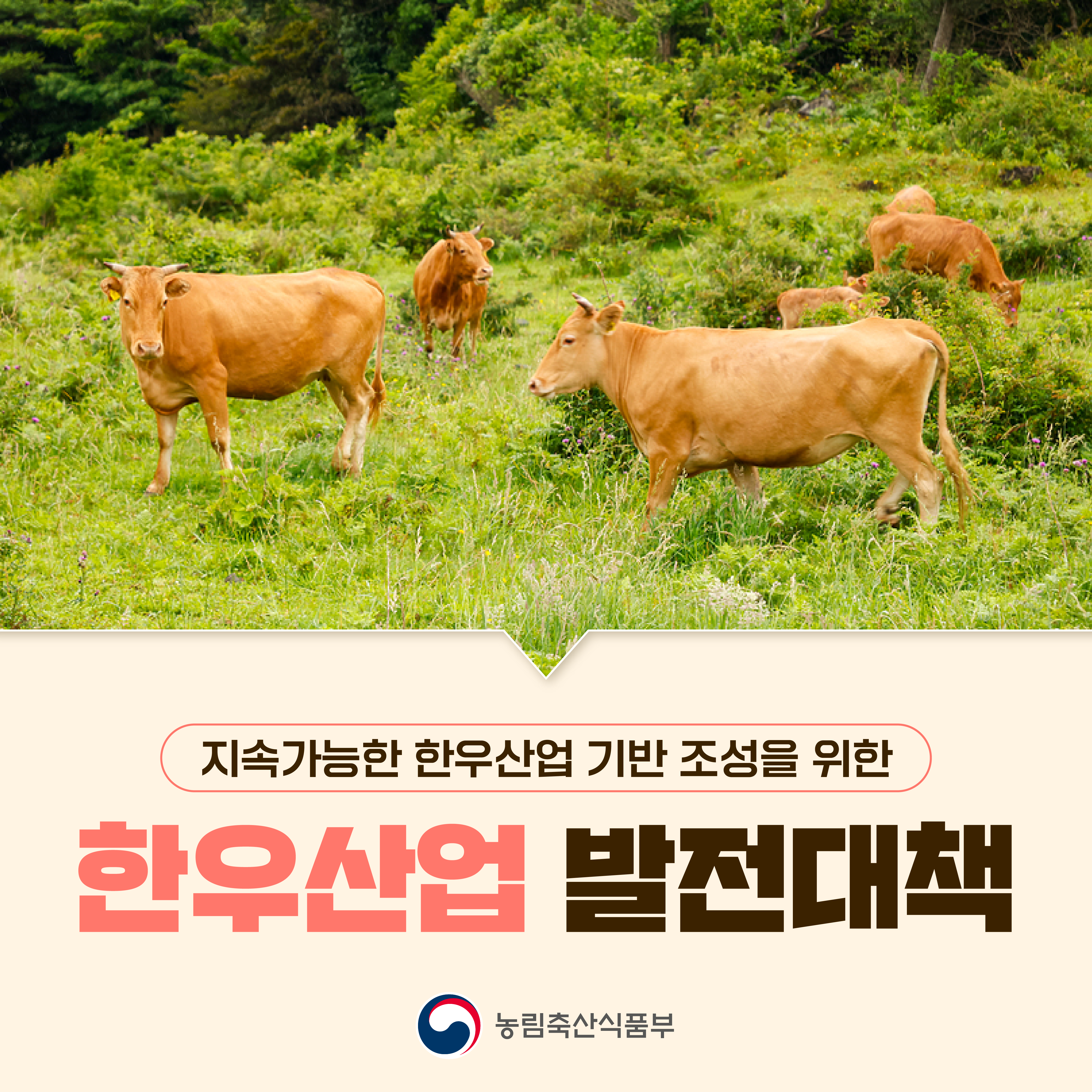 지속가능한 한우산업 기반 조성을 위한  한우산업 발전대책