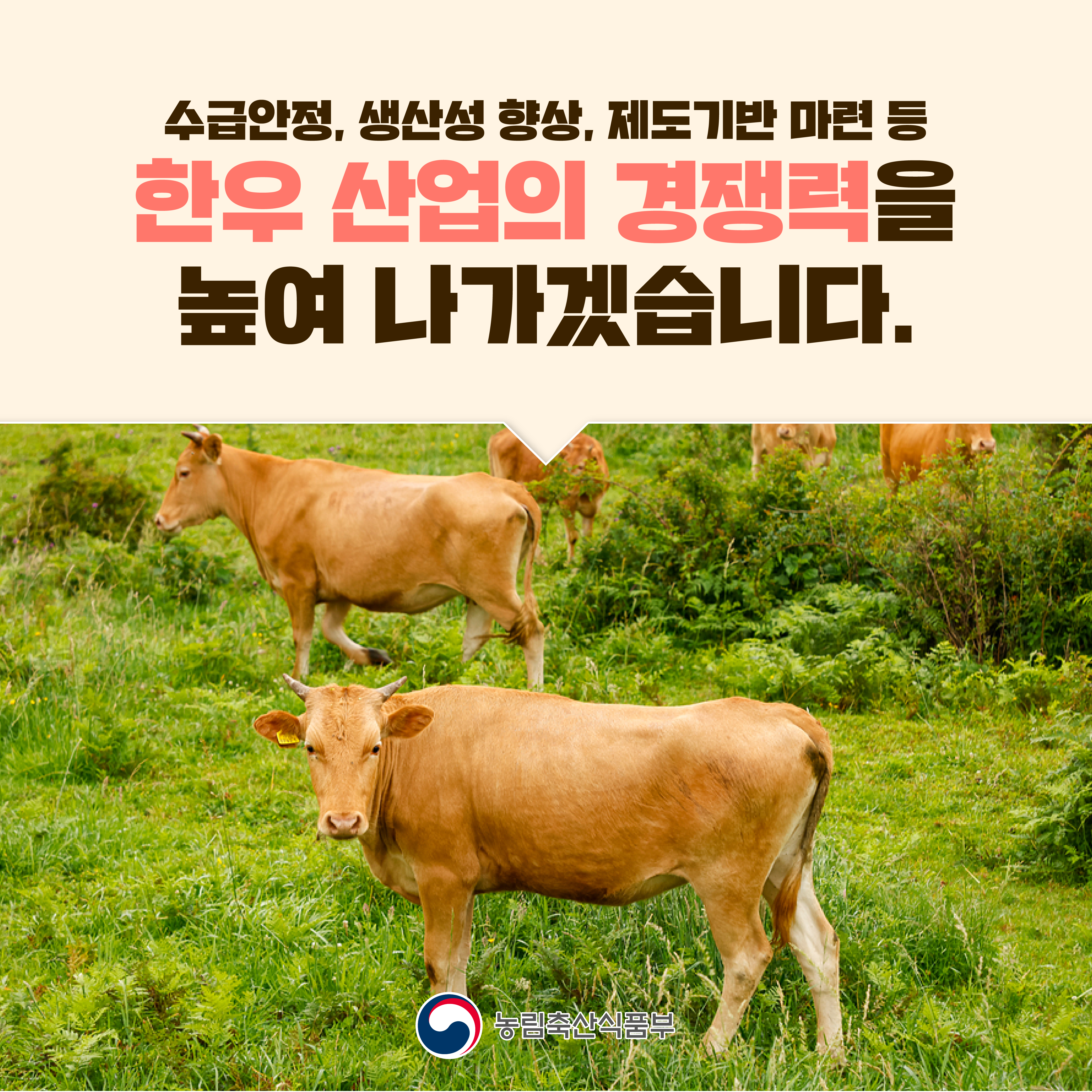 수급안정, 생산성 향상, 제도기반 마련 등  한우 산업의 경쟁력을 높여 나가겠습니다.