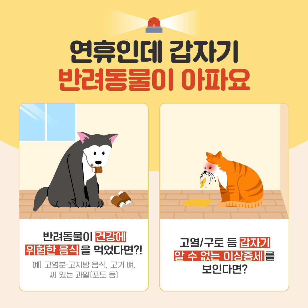 연휴인데 갑자기 반려동물이 아파요 - 반려동물이 건강에 위험한 음식을 먹었다면?! 예) 고염분·고지방 음식, 고기 뼈, 씨 있는 과일(포도 등) - 고열/구토 등 갑자기 알 수 없는 이상증세를 보인다면?