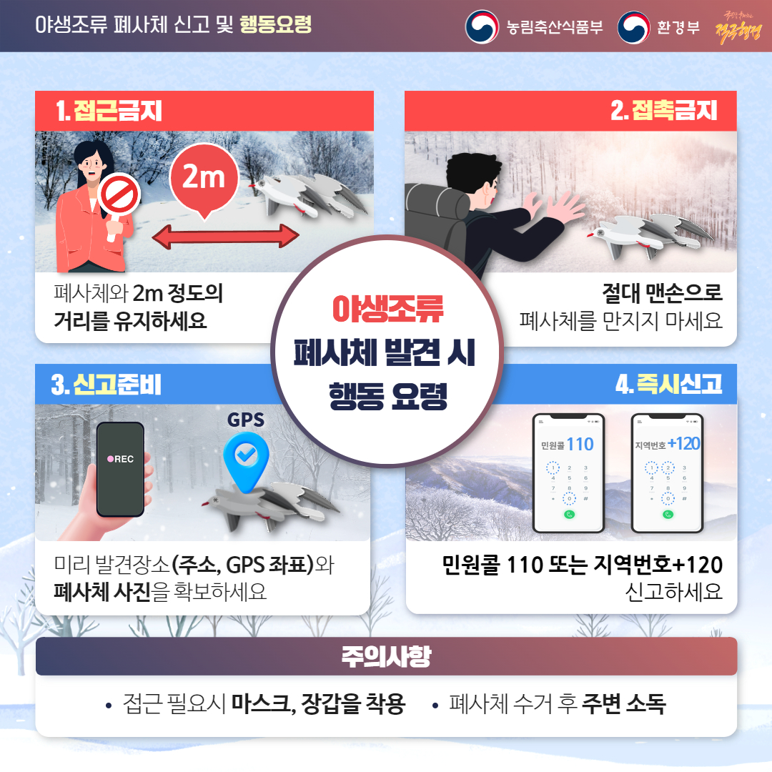 야생조류 폐사체 신고 및 행동요령 1.접근금지 -폐사체와 2m정도의 거리를 유지하세요 2.접촉금지 -절대 맨손으로 폐사체를 만지지 마세요 3.신고준비 -미리 발견장소(주소,GPS 좌표)와 폐사체 사진을 확보하세요 4.즉시신고 -민원콜 110 또는 지역번호+120 신고하세요 주의사항 -접근 필요시 마스크,장갑을 착용, 폐사체 수거 후 주변 소독